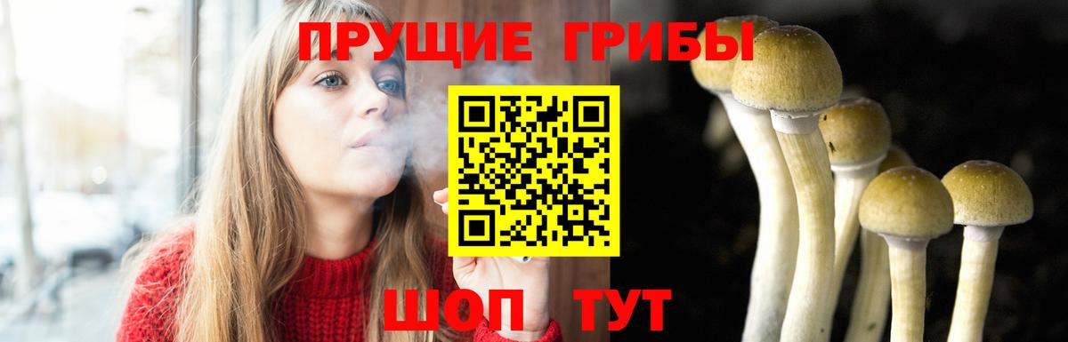 Псилоцибиновые грибы прущие грибы  Вход с VPN  Димитровград 